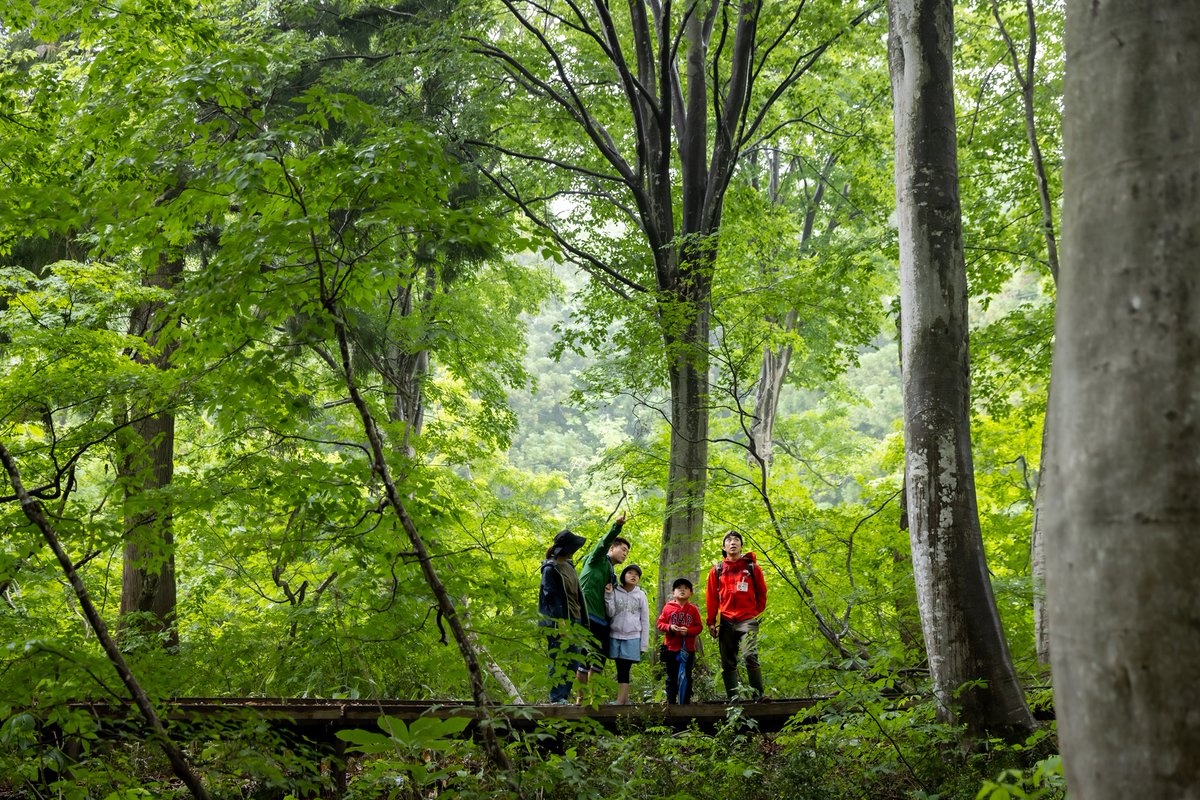 🌲信濃川発電所 開設85年記念🌊
森と水力発電施設を巡る特別見学ツアー開催！
普段は非公開の特別エリアを巡ります🙌
水の循環から電力の仕組みまで、五感で学び、心に刻む旅へ。
詳細・予約はこちら👇
tour.tabi-tabi.com/plan/?plan=pla…