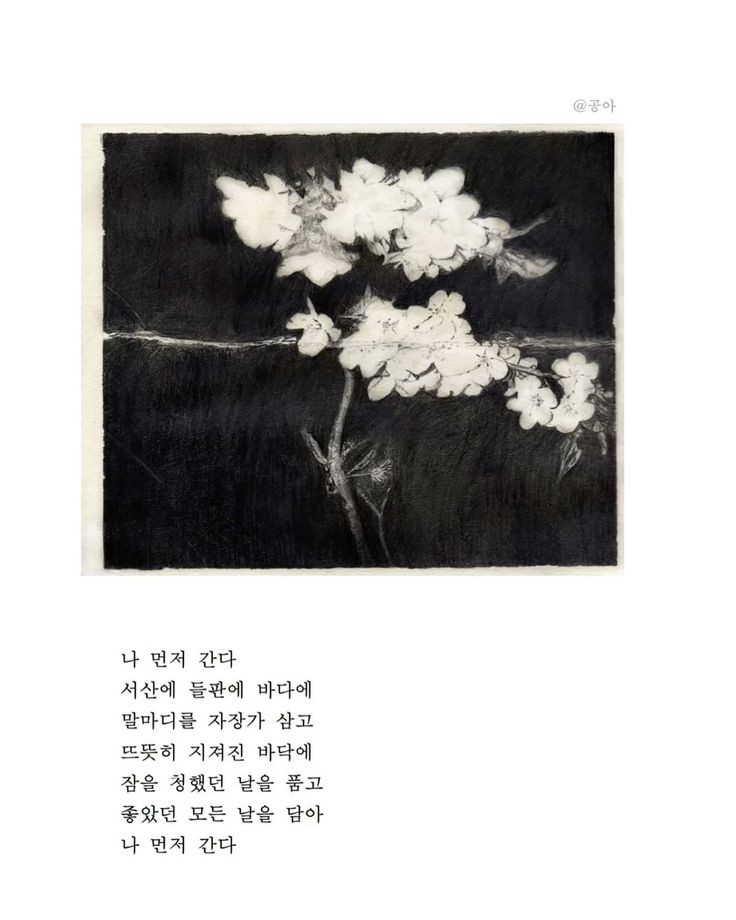 Hyeyoon! tweet media