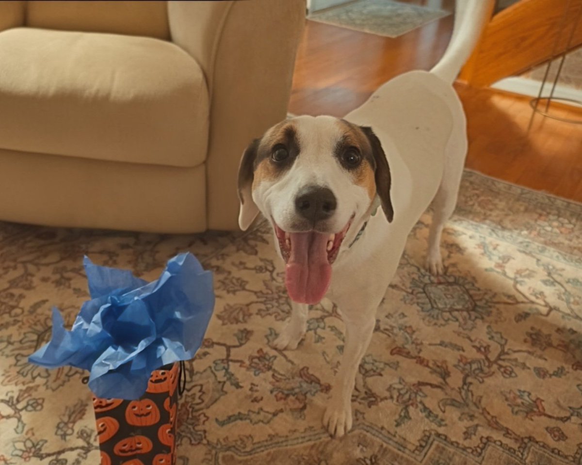 WadeLady tweet media