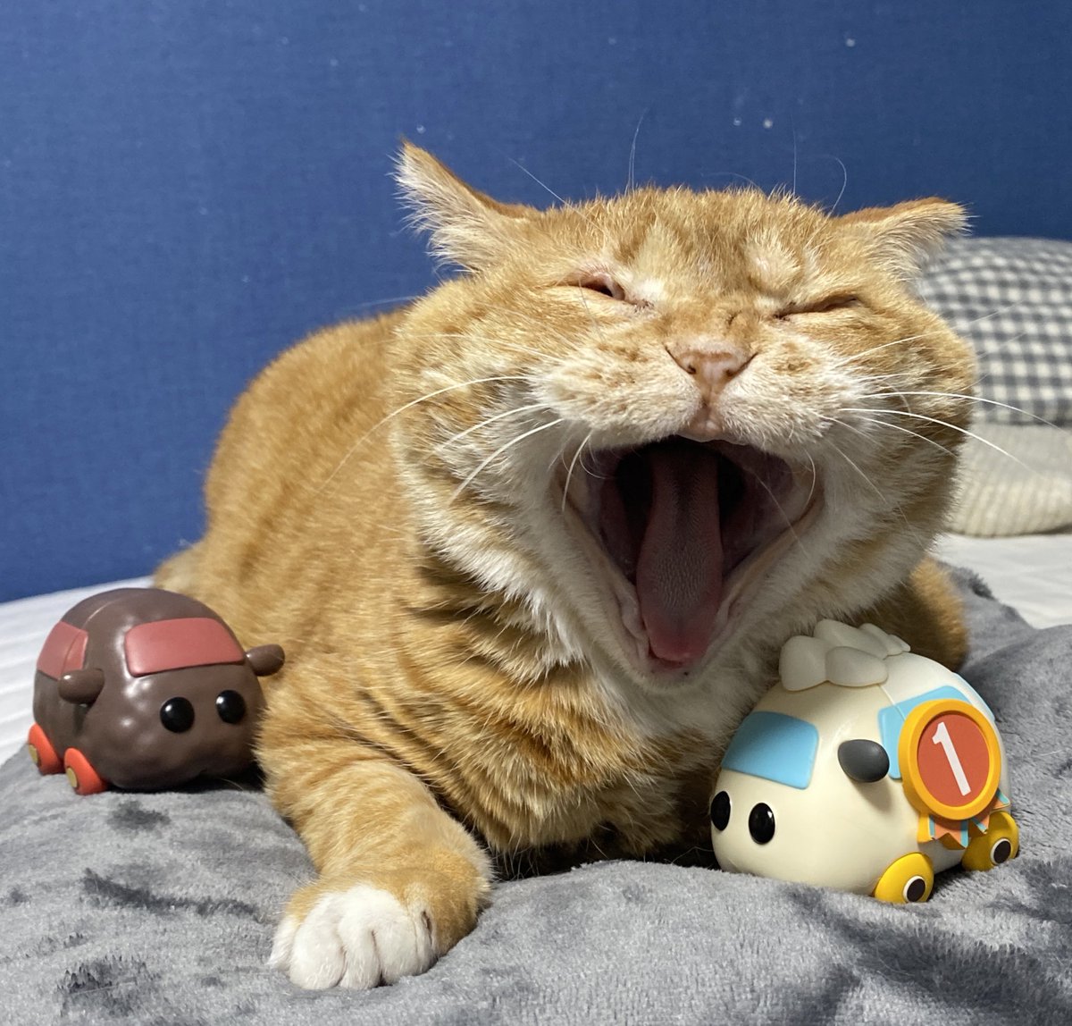 havnt_logic's tweet image. 엄선작입니다
제가 고이고이 소중히 생각하느 냄사…
1. 대왕돈까울산바위 냄비
2. 건치스마일 냄비
3. 16개월남아 냄비