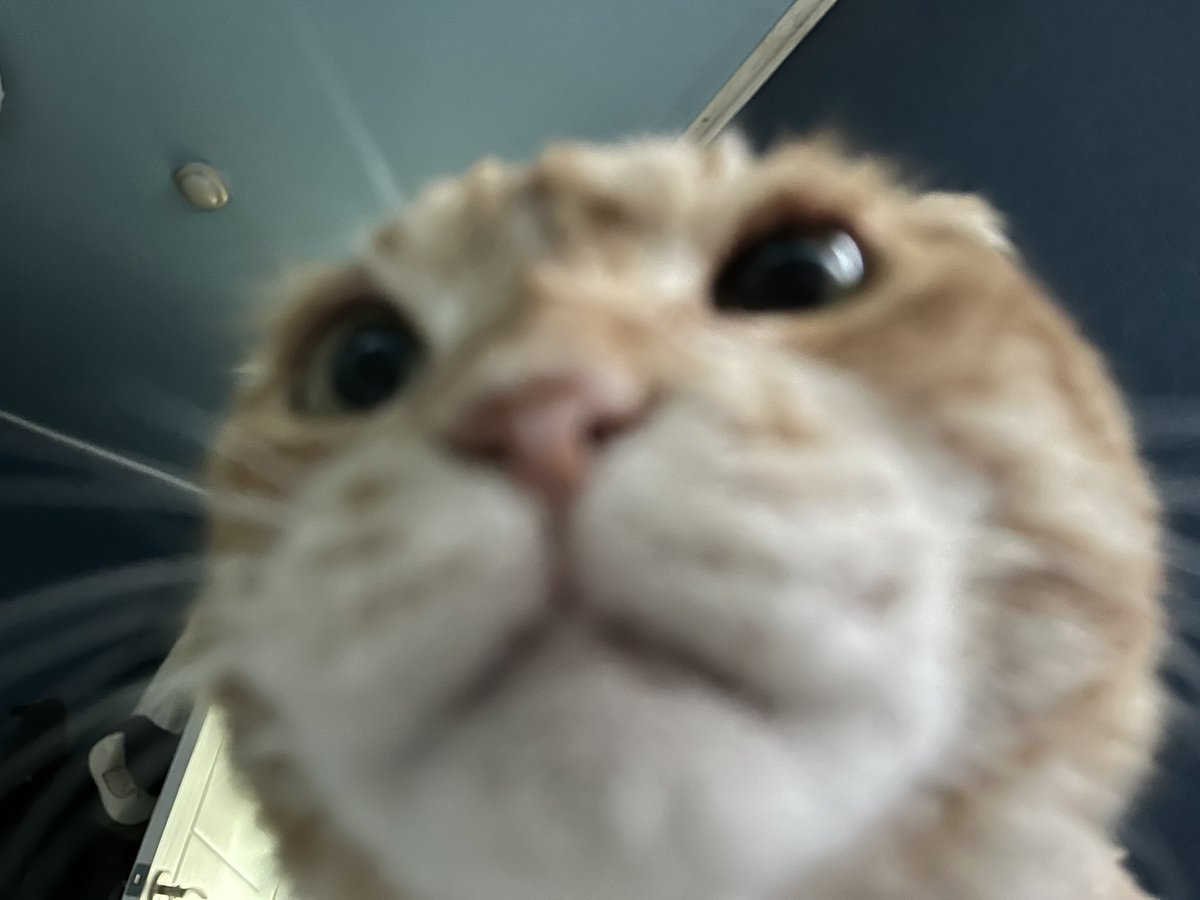 havnt_logic's tweet image. 엄선작입니다
제가 고이고이 소중히 생각하느 냄사…
1. 대왕돈까울산바위 냄비
2. 건치스마일 냄비
3. 16개월남아 냄비