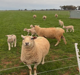 Fred Morley Centre tweet media