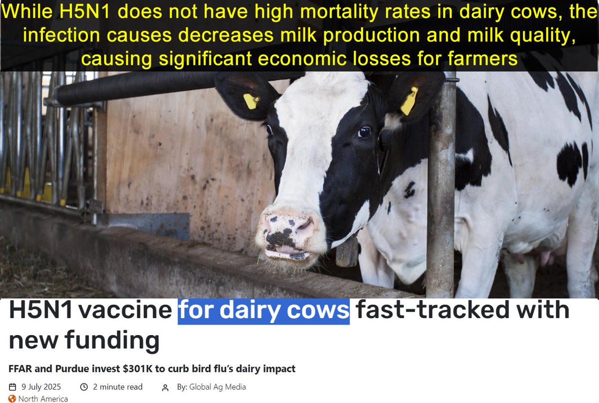 Governments want to vaccinate dairy cows against "bird flu" (H5N1).

If Universal Ostrich Farm ostriches have H5N1 antibodies, it could mean the contract to vaccinate dairy cattle for H5N1 is not necessary because natural immunity is plausible.

The latest H5N1 strain of concern