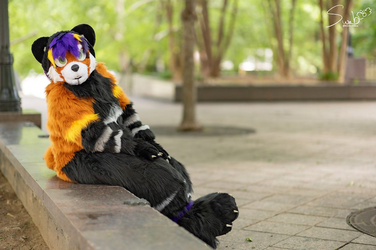 Come sit with me a moment so we can chat about art or something :D 
#fursuit #redpanda 
Photo by Dr swablu!