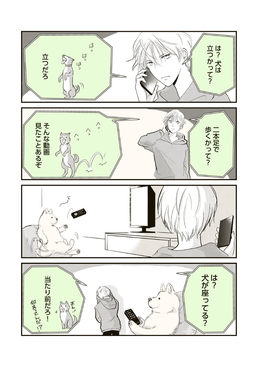 ゆきページ ZIG ブラッシュハイライト サッと C+ 5色セット (BHSC-55/5V)