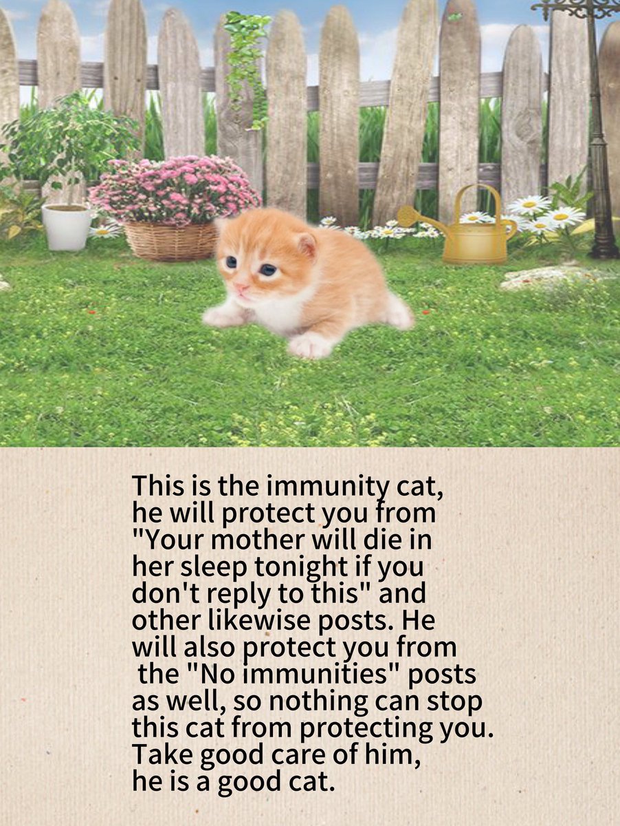 higary__'s tweet image. 