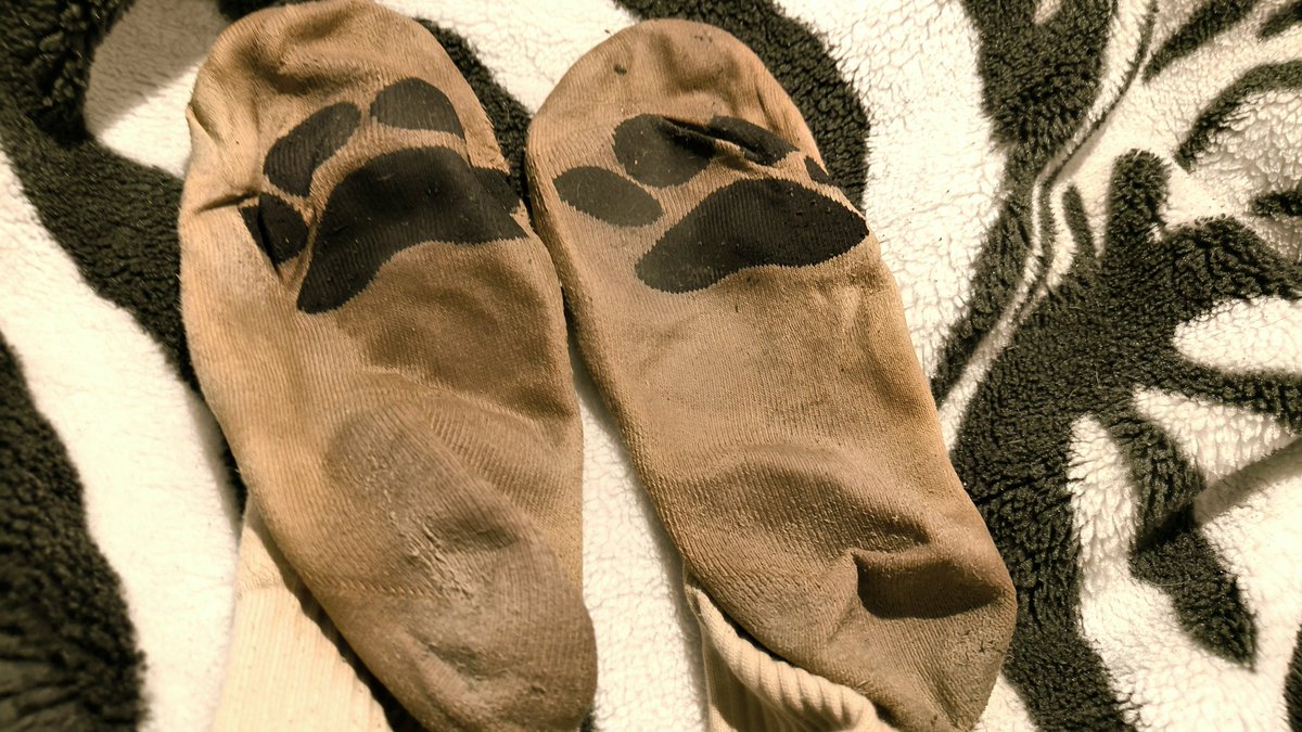 sock addict tweet media