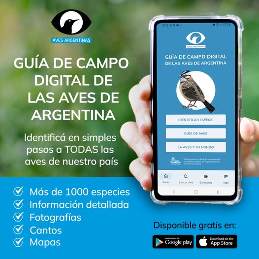 ¿Ya descargaste a app de Aves Argentinas?🐦📱

✔ Ya está disponible la nueva versión de la Guía de Campo Digital de las Aves de Argentinas, una herramienta con la que vas a poder identificar todas las aves del país. 🦜👇

avesargentinas.org.ar/app-aves-argen…