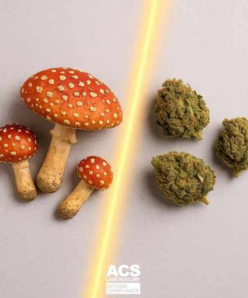 ACS Laboratory tweet media
