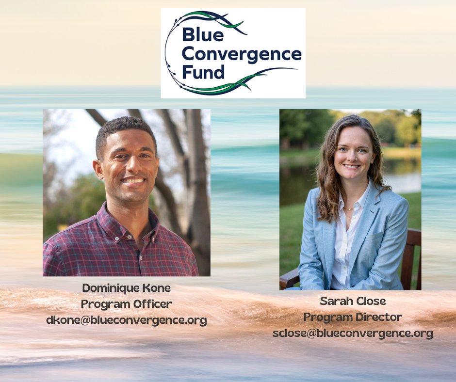 Blue_Convergence_Fund tweet media