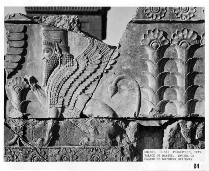 #تخت_جمشید، کاخ تچر به روایت تصاویرش.
#سیمرغنامه

پیوند به عکس‌های کاخ تچر:
simurghnameh.com/artwork/214c2f…