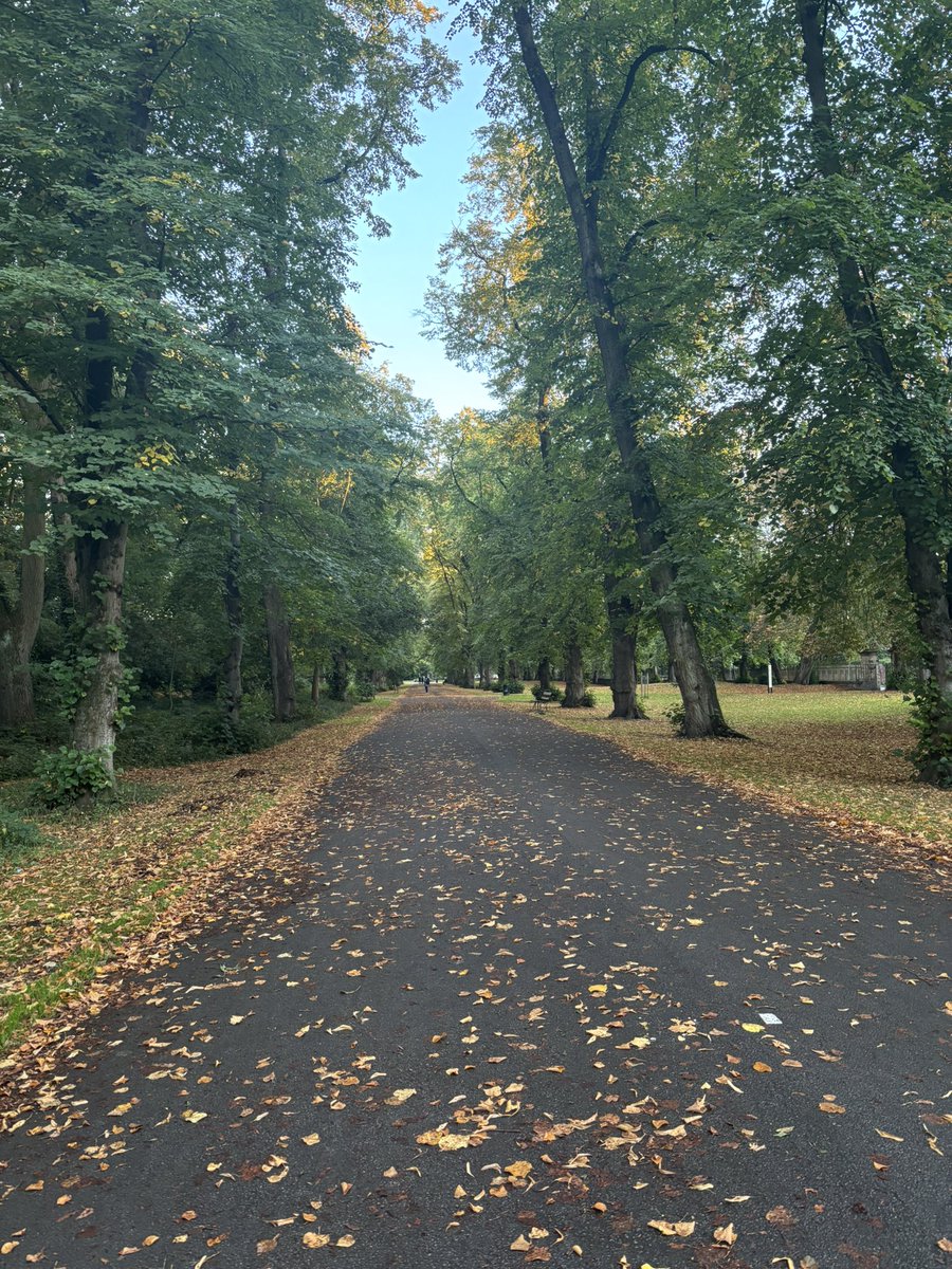 ZNecpalova's tweet photo. September in my local park on my daily
mental health walks 🍁 https://t.co/ZbTrPSHA3A