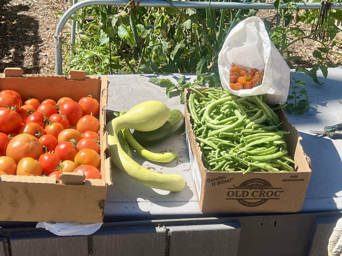 Reminiscing on sunny summer days in our community garden as fall begins to poke its head around the corner 🍂🌱 With the season change comes fresh new veggies ready to enjoy! 🥦🥕

What fall favorites are you finding in your EHP food box? 

#EHPcares #CommunityGarden