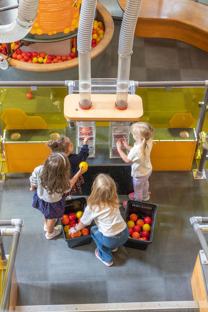 ✨ Where play meets possibility! At Discovery Gateway Children’s Museum, every corner is designed to spark curiosity, creativity, and connection. Bring the whole family and discover hands-on fun that inspires learning every day. 💡🎨🧩