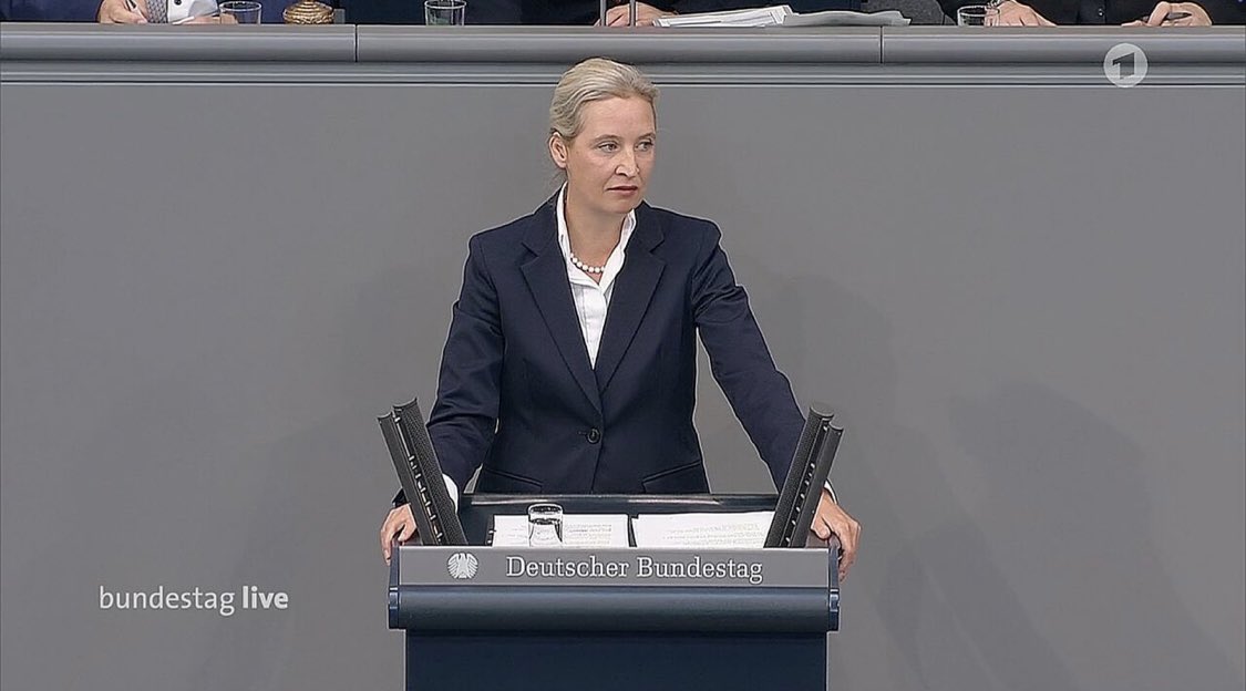 Die Hass-Königin:
„Frau Weidels Abrechnung mit der Demokratie.

Da stand sie also wieder, die Jeanne d’Arc der Selbstgerechtigkeit, diesmal in Hochform.  Ihre Mission: nichts weniger als die Abrechnung mit der Demokratie. 

Keine nüchterne Kritik, keine seriöse Analyse, sondern