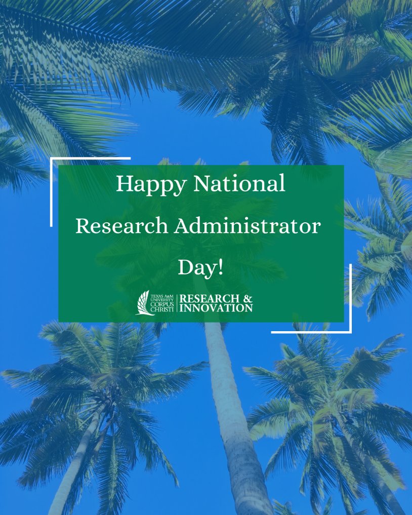 TAMUCC Division of Research and Innovation tweet media