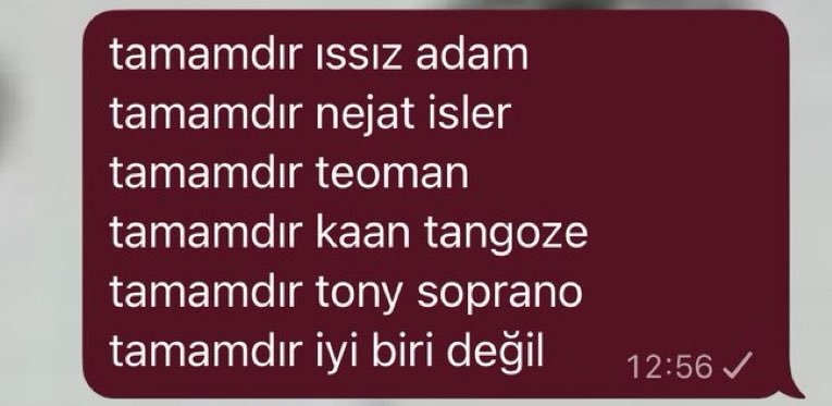 su mesaj atasozu falan olsun