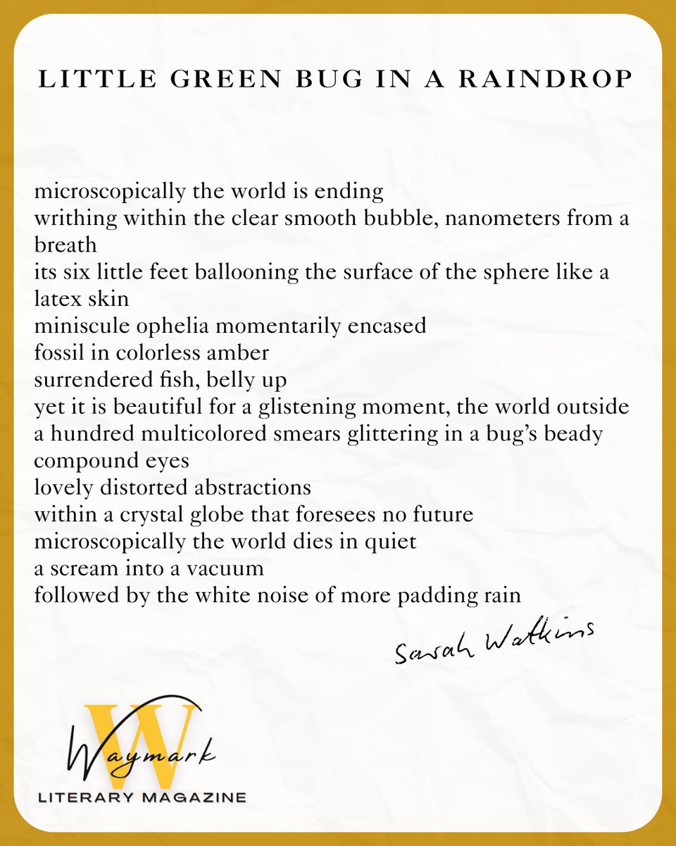 "Microscopically the world is ending."

✨Come check out poetry like "Little Green Bug in a Raindrop" by Sarah Watkins on Waymark Literary Magazine.✨

Waymark is open for submissions until November 16th, 2025 at 11:59!

waymarkmagazine.com/our-issues/

#studentwriters #litmag