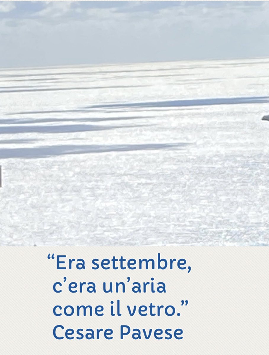 Elisabetta Ferrari tweet media