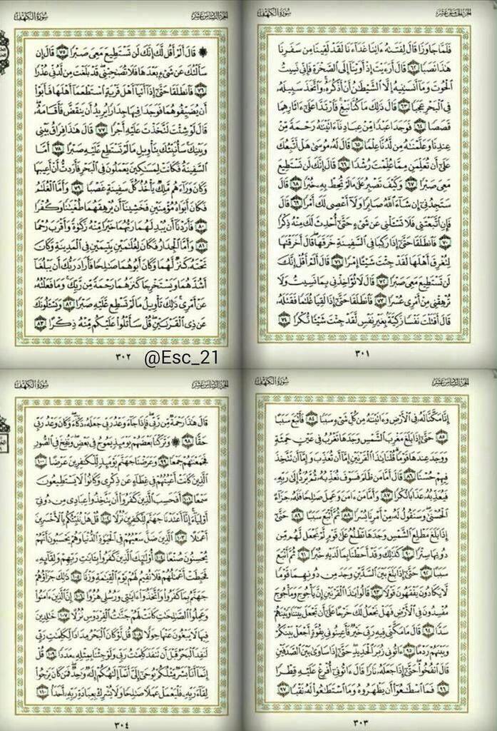 قورجس tweet media