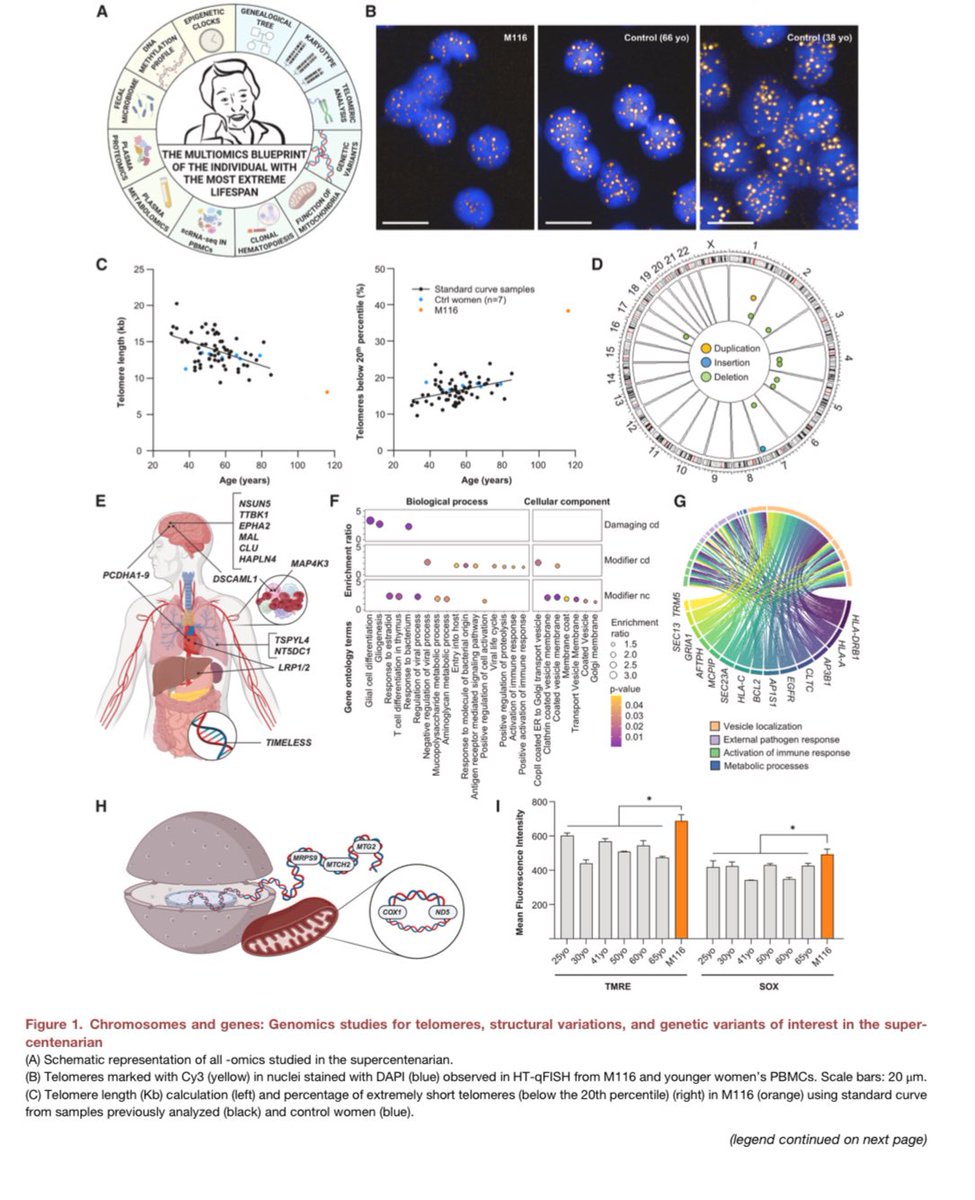 🔬 El estudio multi-ómicas de la persona más longeva (117 años) revela claves para la #longevidad 

✅ Variantes genéticas protectoras
✅ Metabolismo lipídico muy eficiente
✅ Baja inflamación
✅ Microbioma rejuvenecido
✅ Edad epigenética más joven

Gracias por la generosidad de