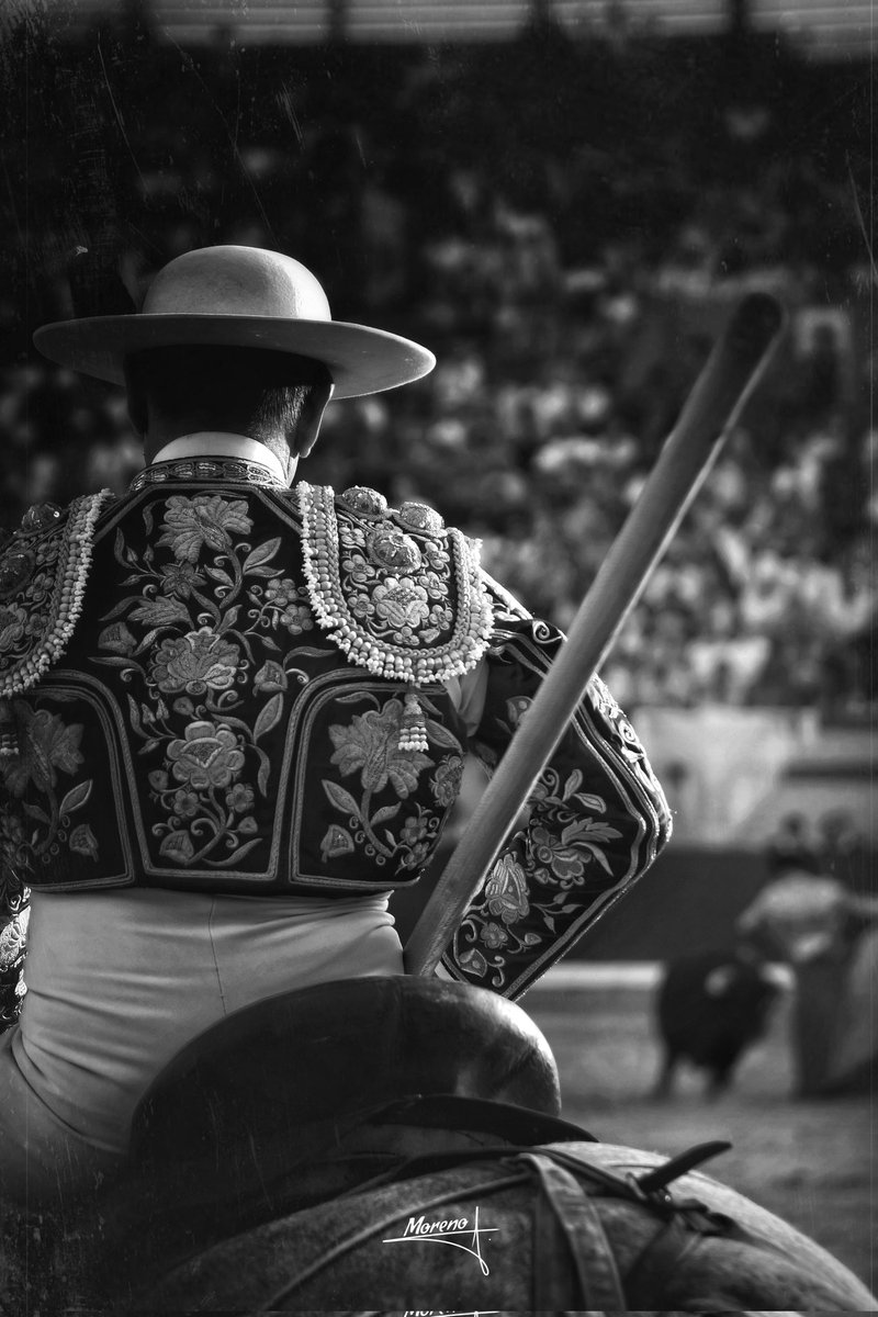 Perder la vida por los ojos...
Yo me entiendo. 
Portarse bien. 
#Toreo #Picador #Eltoro #Mividaenunafoto
#Momentos #Detalles #FotografíaTaurina #FMorenoR #ByN #BlancoyNegro