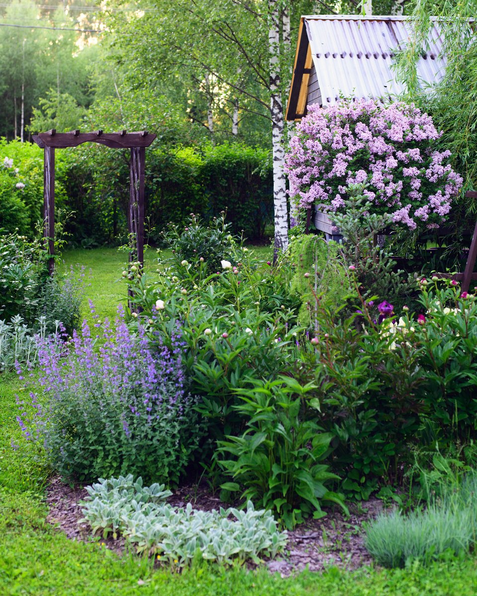ENTER TO WIN $500 IN TREECASH 🌳🎉

Upload a photo of your yard, garden, or favorite plant for a chance to win $500 in TreeCash to use on your next planting project. 📸🌿

Enter to win → bit.ly/4pKC7gb

#GardenPhotos