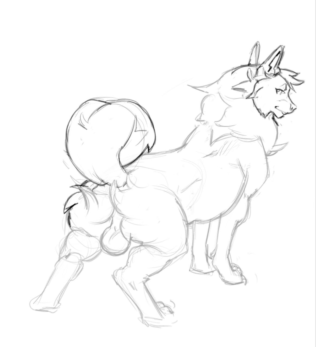 Sharing with yall a small bunch of sketches i did yesterday for ref sheets i am currently working on. 

Second girl is actually a custom design based on a sea slug