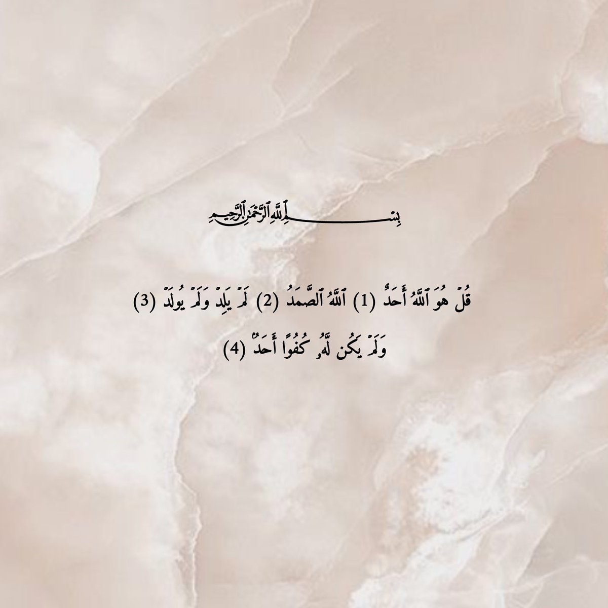 MoozaAlj's tweet photo. لعلهـا تَكـون مصباحاً يُنيـر قبـر أبـي حـبيبيٌ.🌱 https://t.co/pTyVIPSW4v