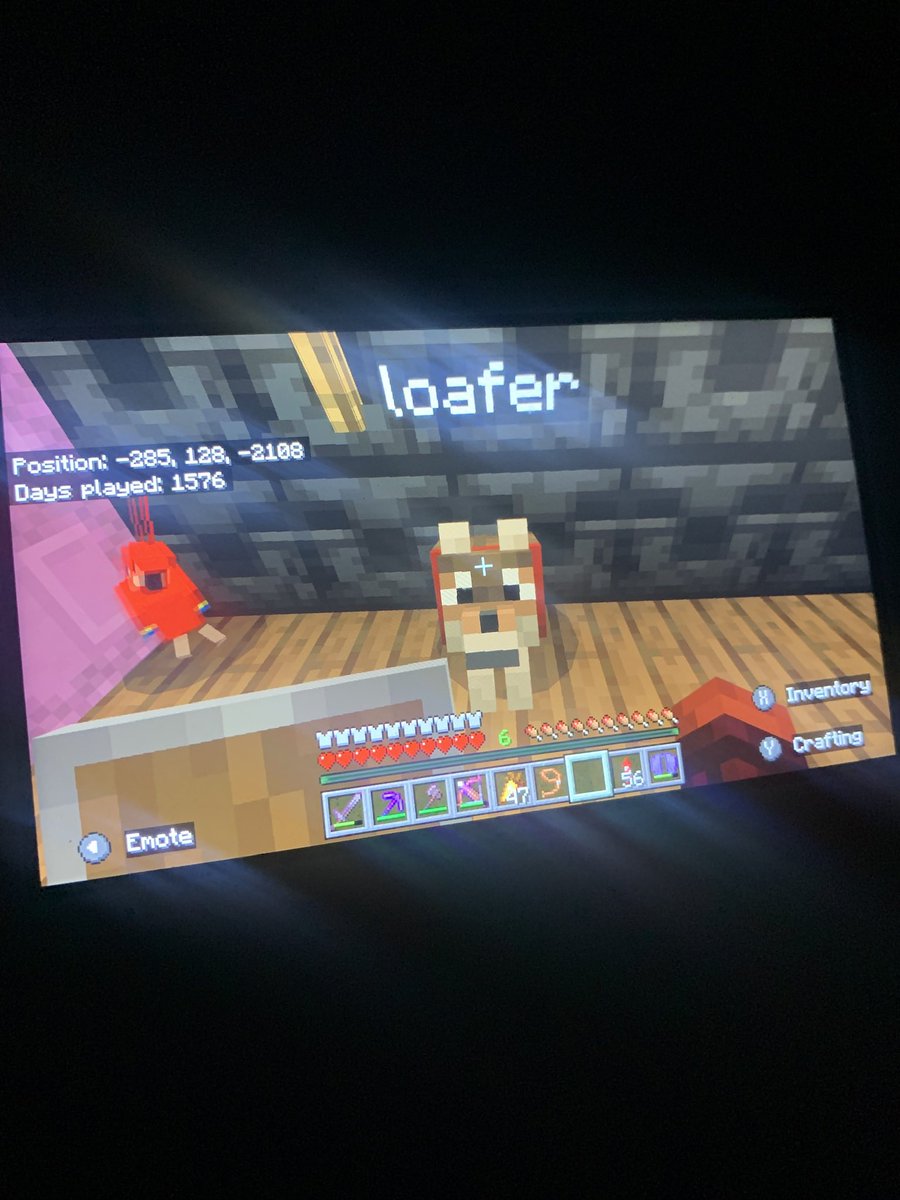 I had to name my first pet when me and my brother got back into Minecraft based off my oshi. Loafer also was with us when we beat the ender dragon. So loafer is an old loaf. But has the most.