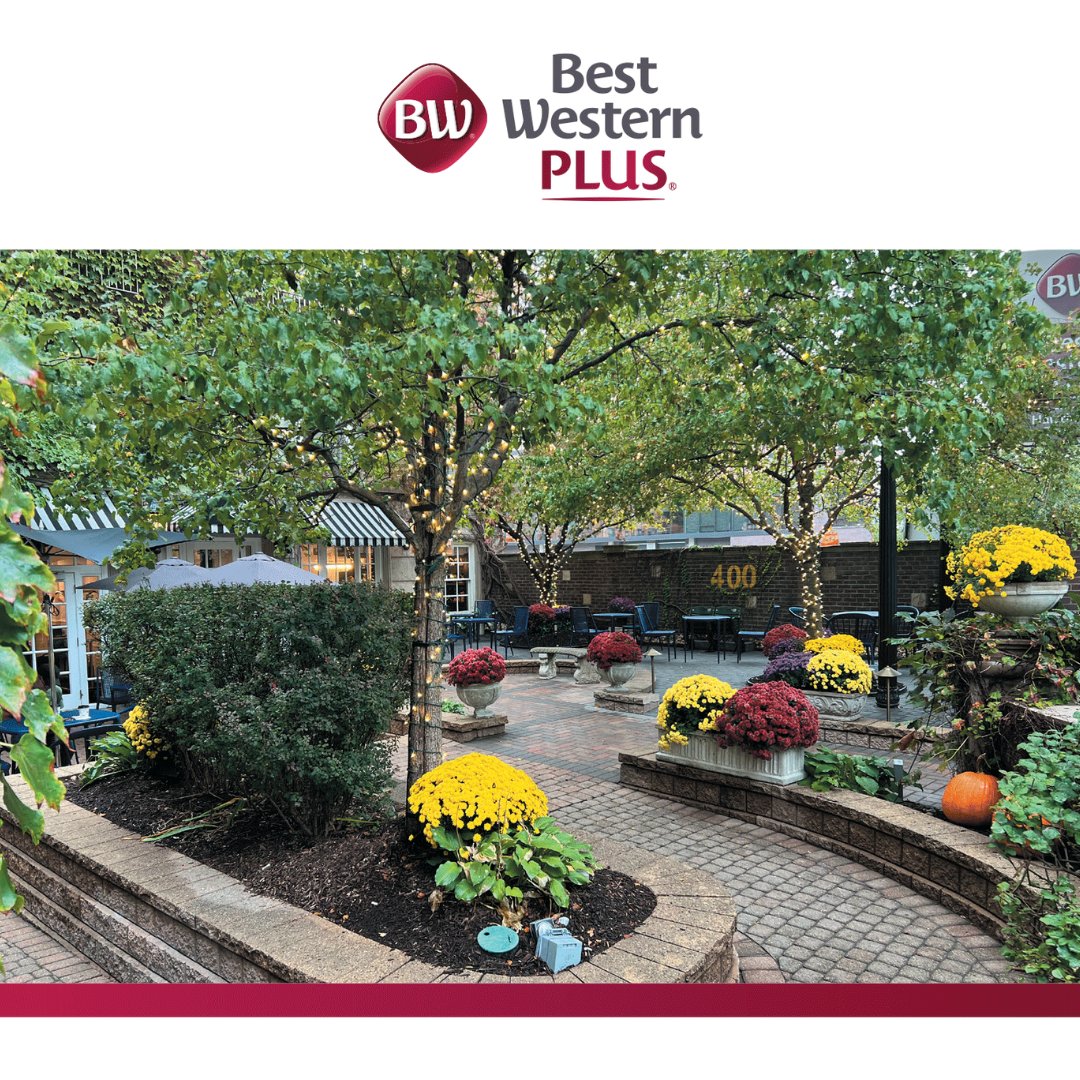 After a night of incredible indie films at Reeling Film Festival, settle into a night at Hawthorne Terrace, the center of all things Lakeview East. hawthorneterrace.com #Ad #Sponsored