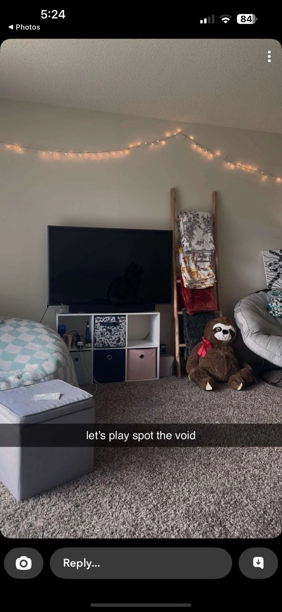 There is a cat in this photo can you find it?