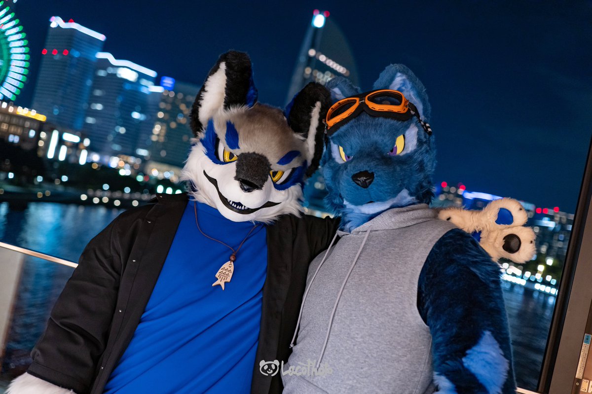 夜景をバックに✌

📸:<a href="/Lacotot/">Laco🐼📷➡️JMoF2026</a> 

#FursuitFriday