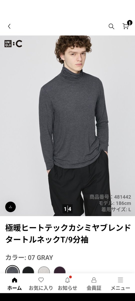 カシミヤ - Search / X