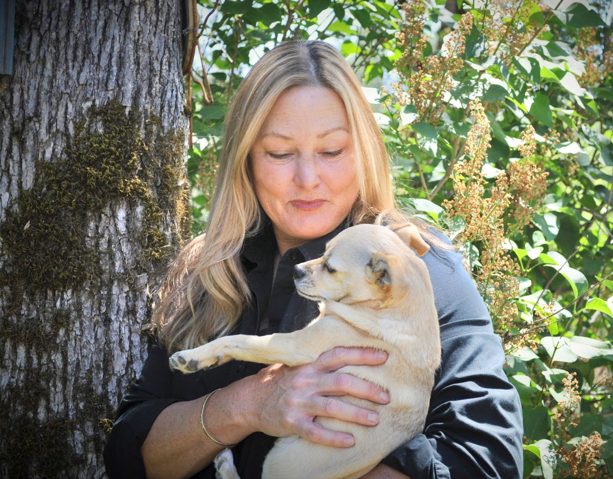 Sheriff’s Animal Control Supervisor Stefanie Geckler Elected President of the California Community Animal Response Teams; Sheriff’s HEART Recognized as Rescue Model to Emulate Statewide 👏👏👏 nevadacountyca.gov/DocumentCenter…