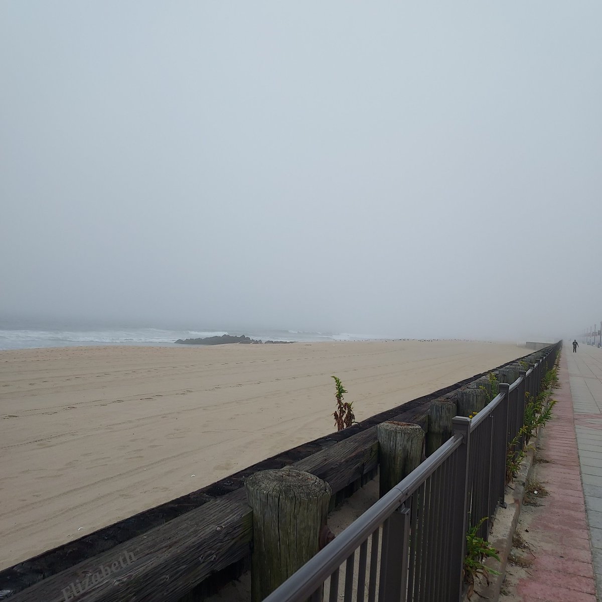 📷

.

.

.

                                 𝓮𝓿𝓮𝓷𝓲𝓷𝓰.