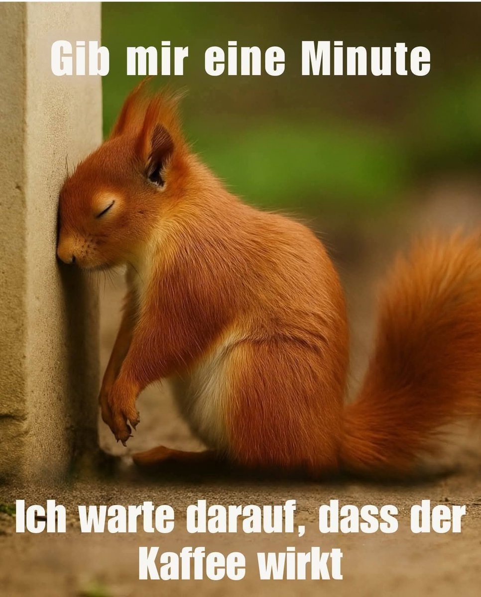 Mihokitzune Ceo of flauschigkeit (@mihokitzune) on Twitter photo 