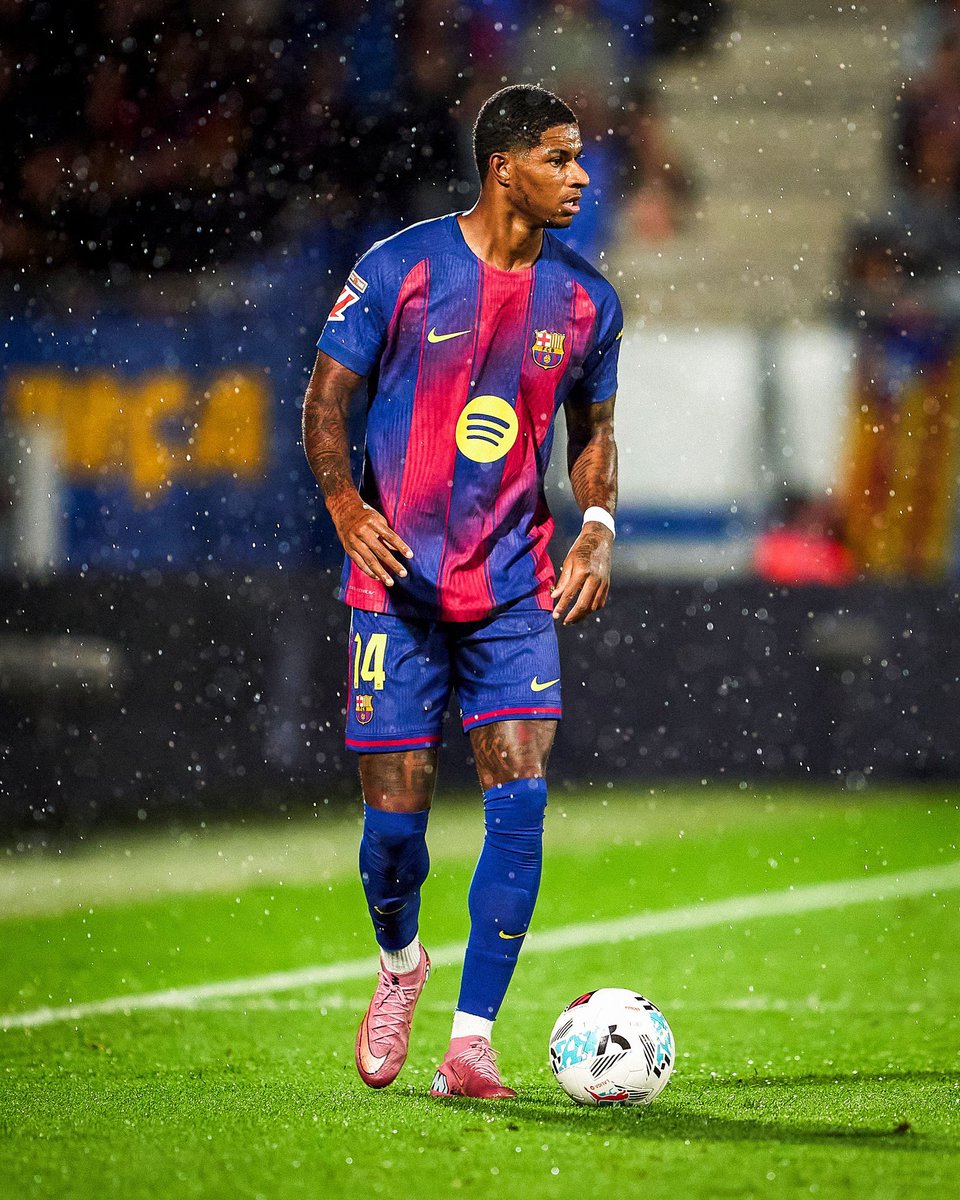 Berneese tweet media