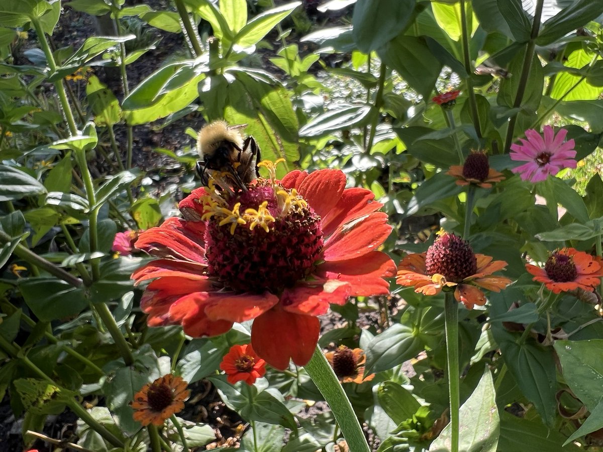 Darrell Olson tweet media