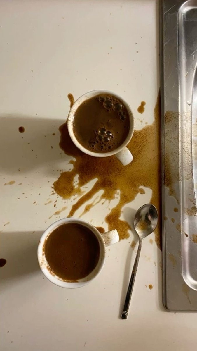 trashedleaf's tweet image. intro time!! 

       23 , not new just returning 🙂‍↕️
  looking for moots and buddies!!
     i will follow u back scouts honor 🗝️
      dni: minors 🙇🏼‍♀️