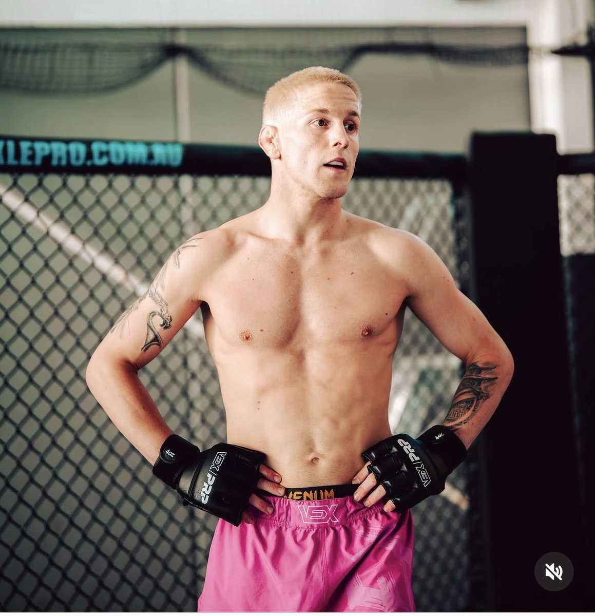 JT_Lines's tweet image. If Colby Thicknasty loses as my Dog Lock of the Week .. I’m giving a random person that replies to this tweet $500. 💰 

Periodt. 

Lock the Fuck in. 🔒