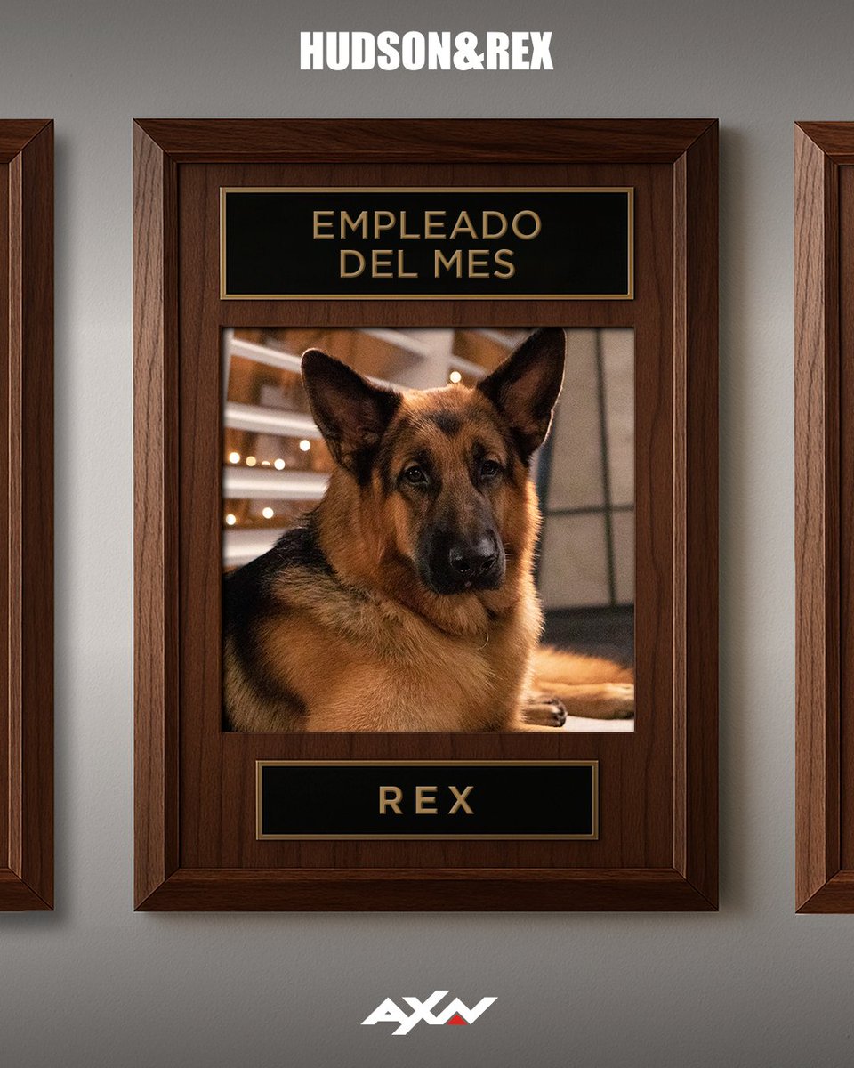 En esta oficina hay detectives buenos, y luego está el que tiene mejor olfato para resolver crímenes.

Spoiler: es el empleado del mes.

#HudsonYRexAXN - De lunes a viernes a las 21:05h