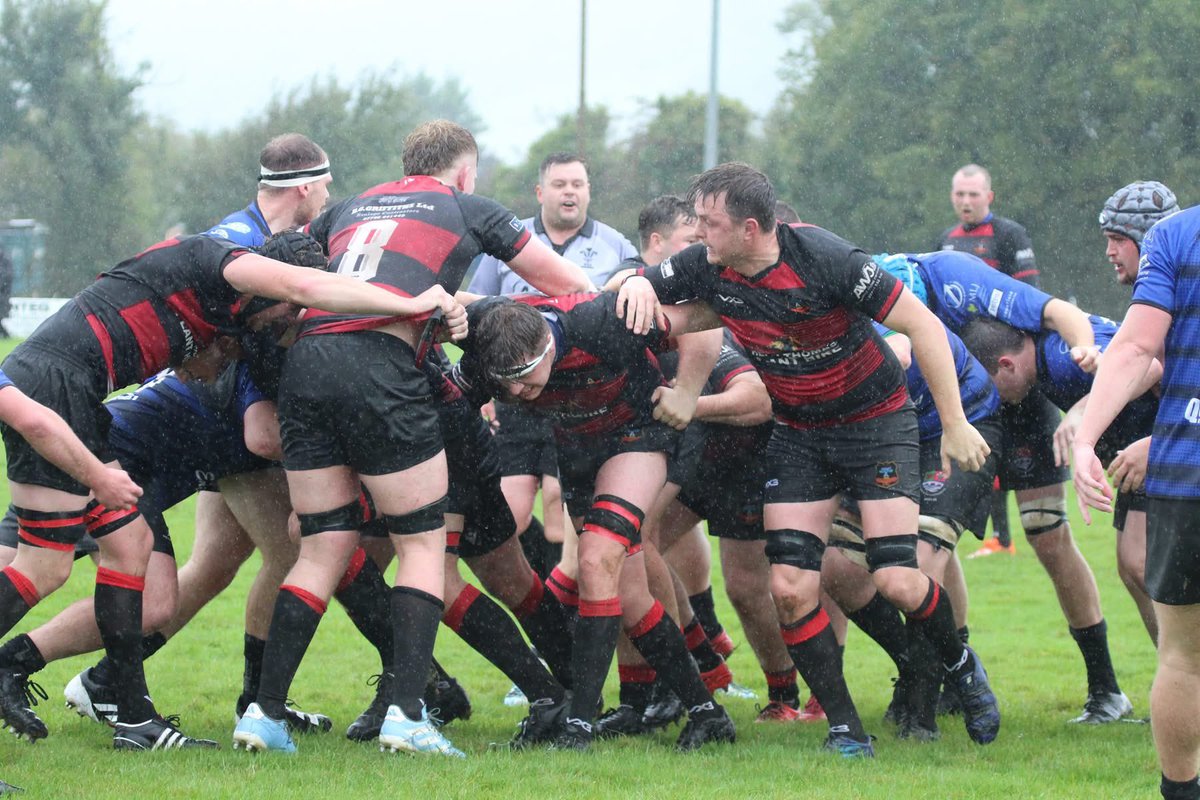 Sue Bows tweet media