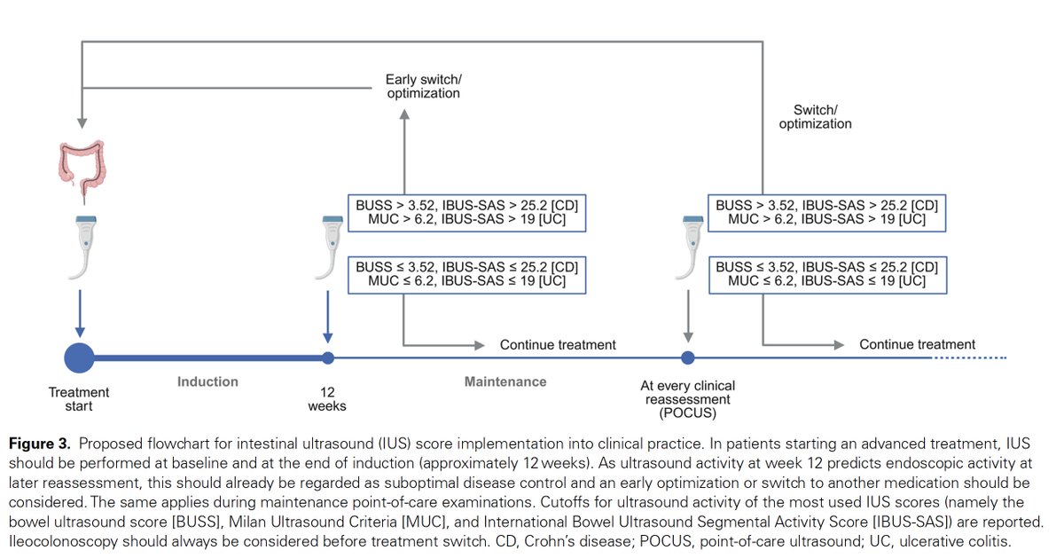 RuneWilkens's tweet photo. Once again a fantastic paper (detailed, honest, and well-performed) from the @GabrieleDragoni group with @IBD_Tom as first author - just published in @IBDJournals on #intestinalultrasound scores. Could easily have been published in @JCC_IBD  

"Based on the results of our systematic review, the MUC and BUSS are fully validated IUS scores that showed ability in the early prediction of response to therapy in patients with UC and CD, respectively; therefore, they might be used in daily practice to define treatment strategies. On the other hand, the IBUS-SAS has the highest number of validation studies in both CD and UC, and its 0 to 100 scale might be more useful in detecting minimal changes for the rigorous application in randomized clinical trials. Based on the results of our systematic review, we then propose a flowchart for IUS scores implementation into treat-to-target strategies (Figure 3)."

https://t.co/uiuM8Retba

@BowelUltrasound @iuschris @michaeldolinger @novakkerri @iUSCAN @GENIUS_health1 @vipuljairath