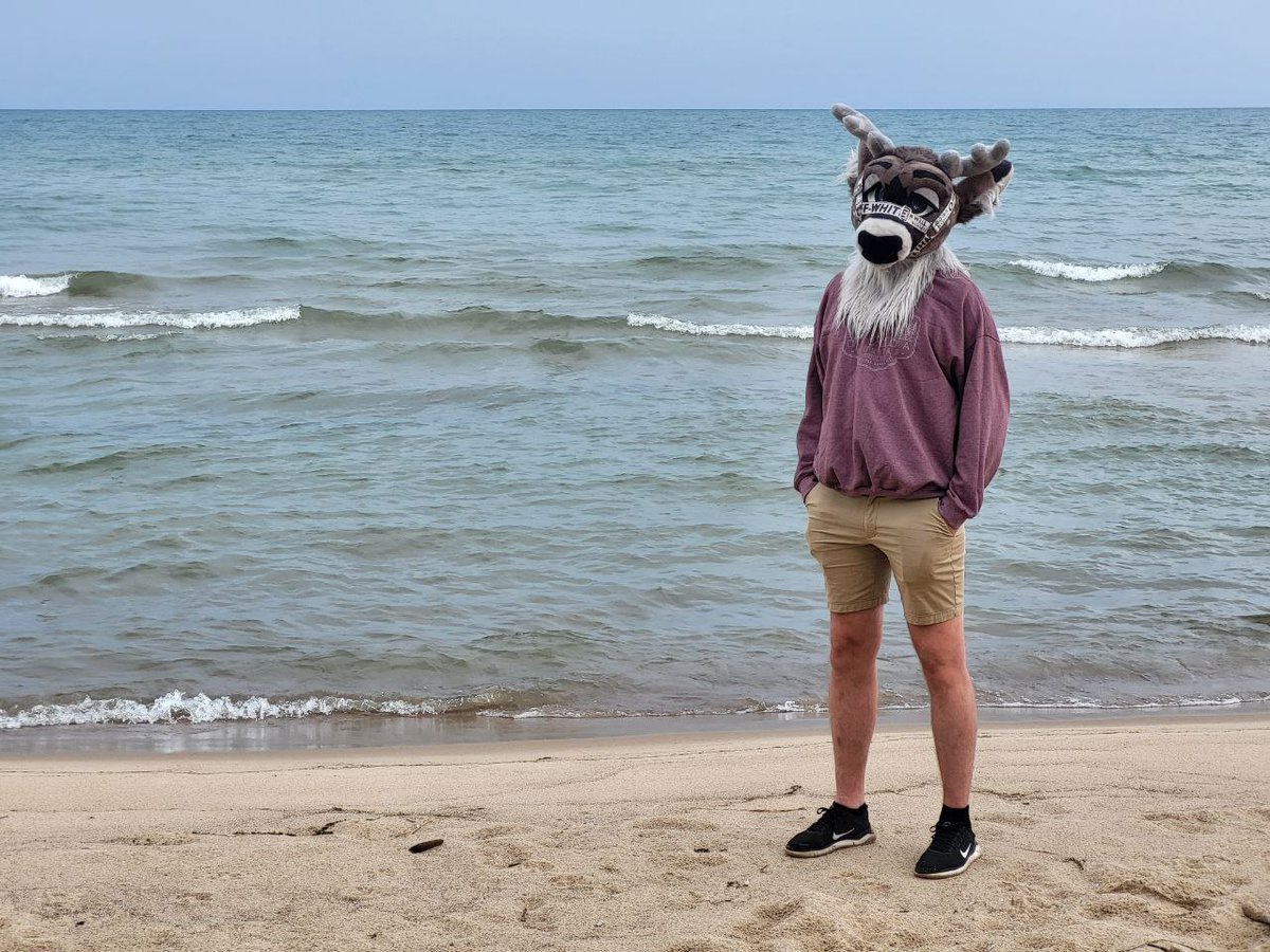 Stag Lutz @ FWA, PKMN Indy Regs, AC tweet media