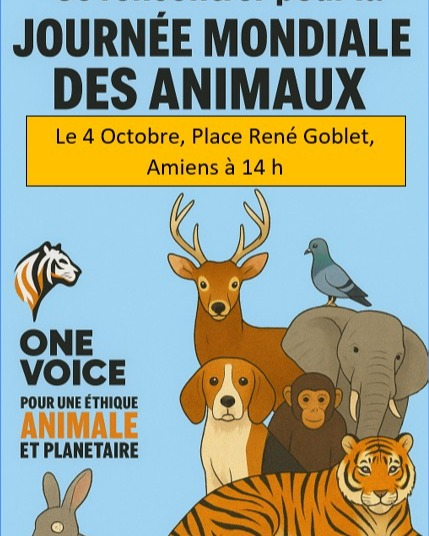 FR-91 (@kfranc91) on Twitter photo 