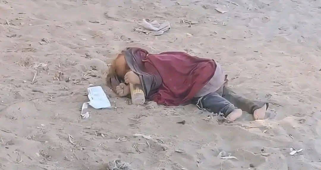علي المهيد || 𝐀𝐋𝐈.𝐀𝐋𝐌𝐇𝐄𝐃 tweet media