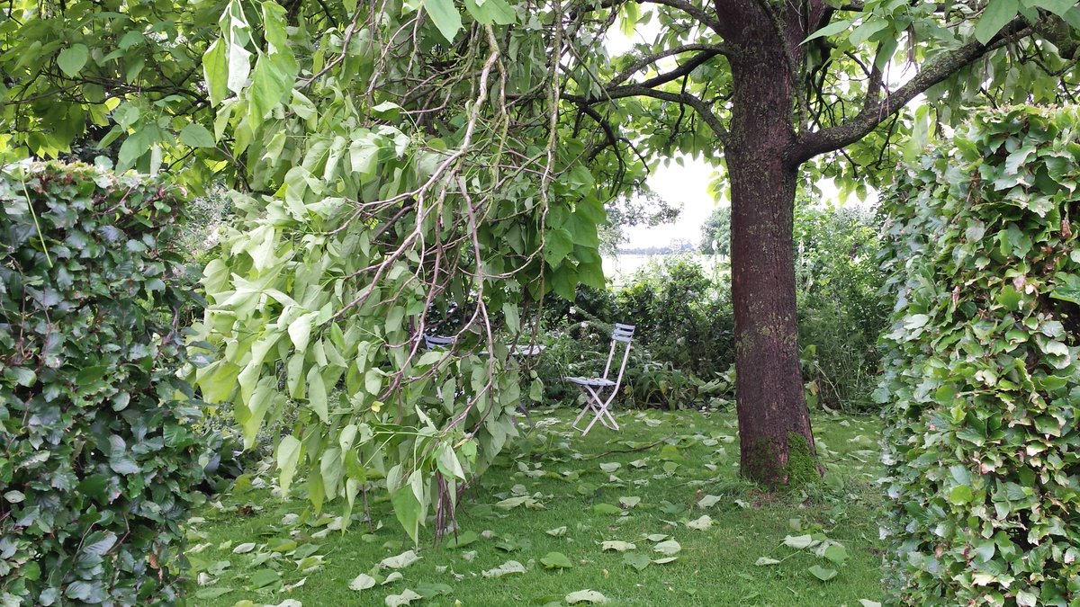 Heerlijkheyd's tweet photo. #SeptemberWeer #Storm #Wind
@LisetteOpTexel
In 2016 hadden wij veel schade door #valwind die een brede strook met veel schade gemaakt heeft. https://t.co/t6zo0gZmA8