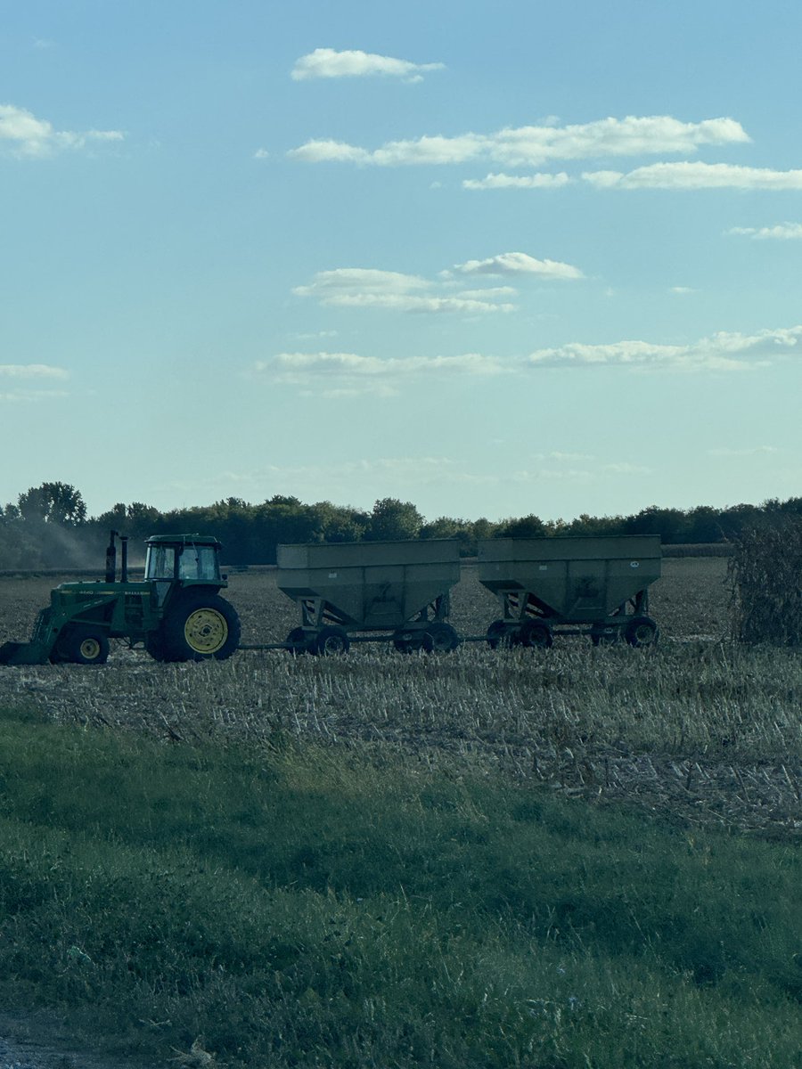 If you want to change the rural landscape, there’s only one law you have to change. Require every bushel to be hauled off the field with gravity wagons. That’s it. 

Keep the bushels local. Smaller elevators closer together. More feed mills. Walk it off the farm. 

What do we