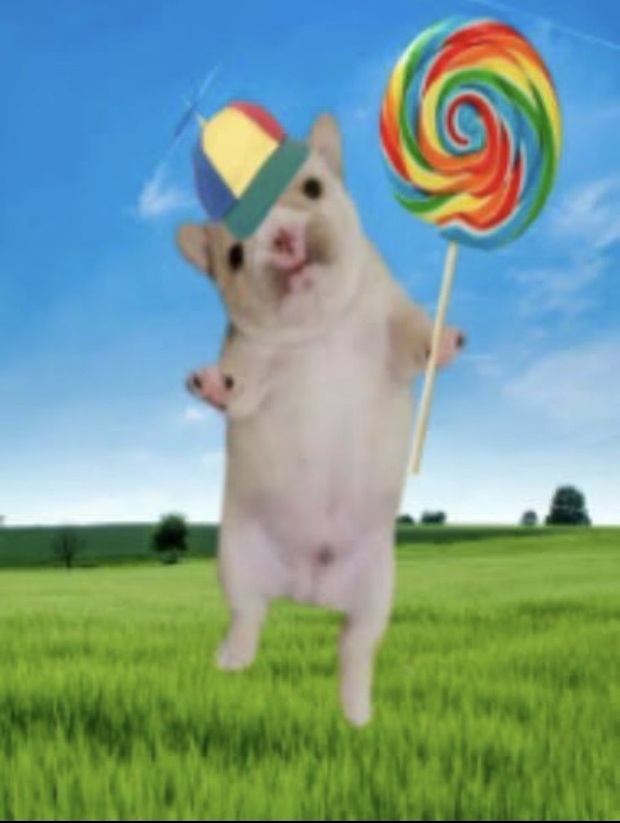 abe 🇵🇸 tweet media